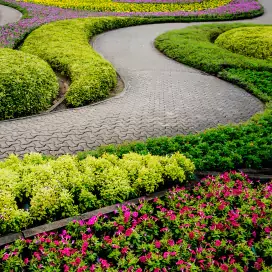 A winding landscaped road.
