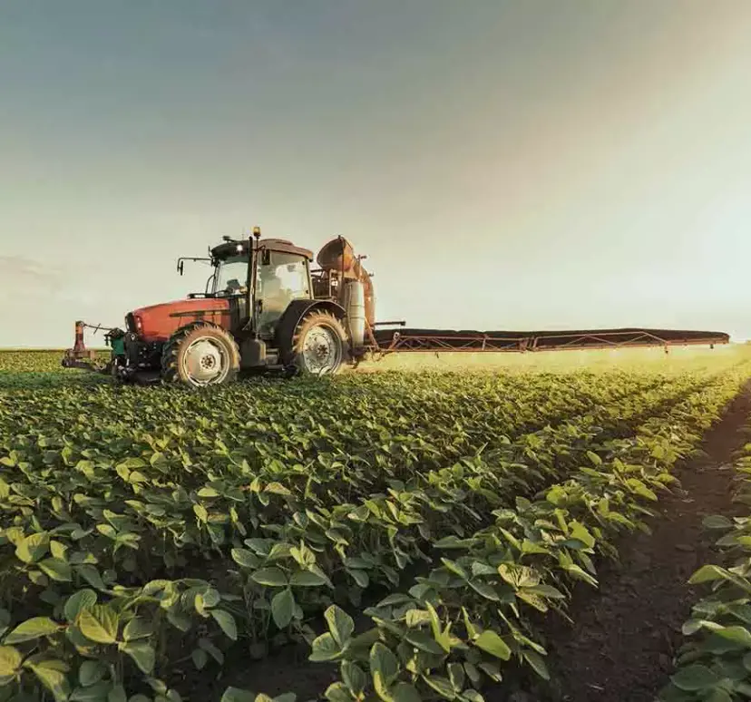 An image of a tractor harvesting vegetables.